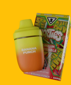 Banana Punch 2g Shorties Disposable
